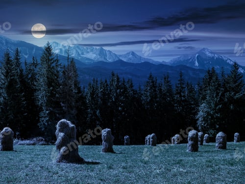 Preview: Haystack Near Spruce Forest On A Meadow In Zakopane Of Poland Side Of Tatra Mountains At Night In