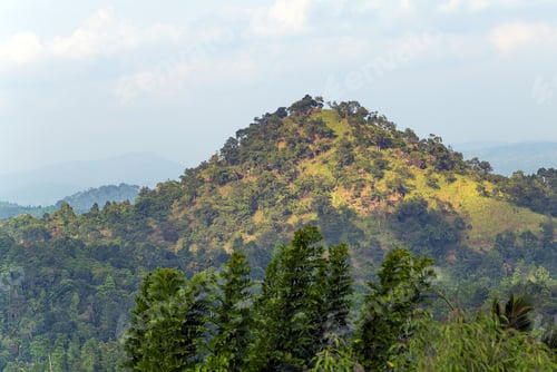 Preview: Mist Morning Mountain Tropical Landscape And Village In Sri Lanka