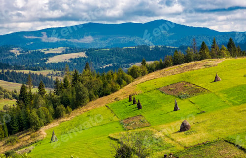 Preview: Hillside With Row Of Haystacks On Rural Field. Beautiful Summer Agriculture Scenery In Mountainous