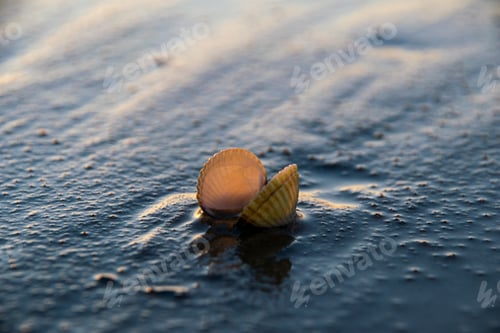 Preview: Sand Texture On The Beach In Summer