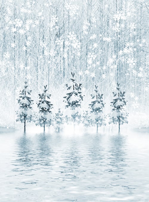Preview: Winter Forest. Winter Landscape.