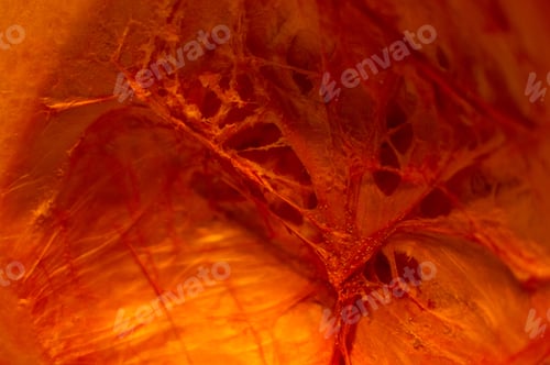 Preview: Amazing View Of The Cut Orange Pumpkin From The Inside, Close-Up