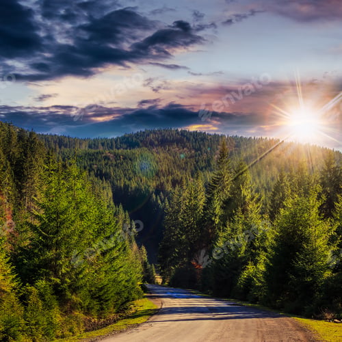 Preview: Asphalt Road Going Off Into The Distance On The Left, Passes Through The Green Shaded Forest At