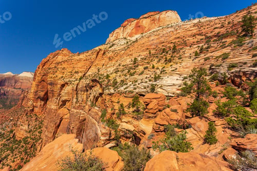 Preview: Nature Landscape Of Zion National Park, Usa. This Nature Landscape Is Taken At Observation Point In