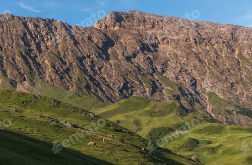 Preview: Seiser Alm On A Beautiful Sunny Day
