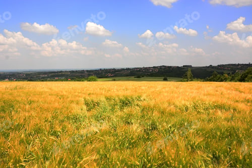 Preview: View Of Agricultural Fields