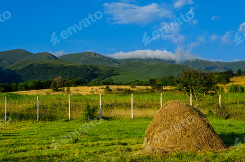 Preview: Beautiful Summer Landscape