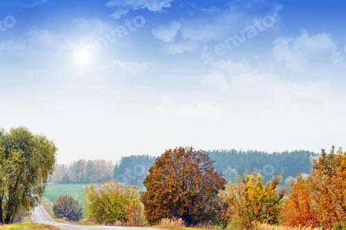 Preview: Autumn Landscape. Beautiful Leaves. Colorful Trees. Indian Summer