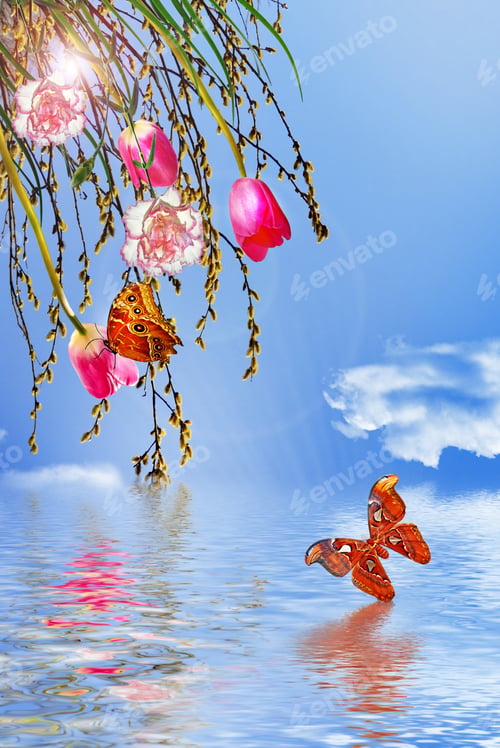 Preview: Willow, Carnations And Tulips On A Background Of Blue Sky