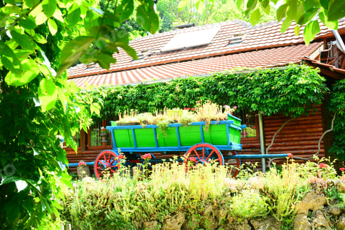 Preview: Decorative Carriages In Front Of The Restaurant