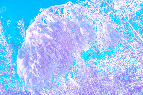 Preview: Frozen Winter Forest With Snow Covered Trees.