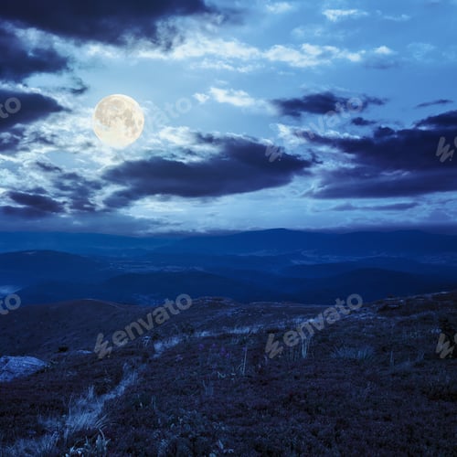 Preview: High Wild Grass And Purple Flowers At The Top Of The Mountain At Night In Full Moon Light