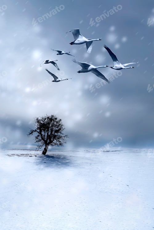 Preview: Winter. Alone Tree And Birds. White Blue Nature Background.