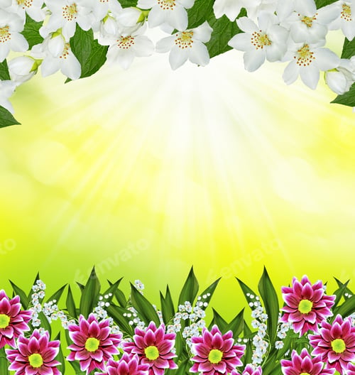 Preview: Spring Landscape With Delicate Jasmine Flowers