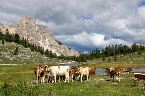 Preview: The Natural Park Of Fanes Sennes Braies In The South Tyrol, Italy.