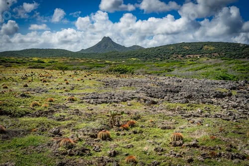 Preview: Shete Boka National Park With Crashing Waves Curacao Views A Small Caribbean Island