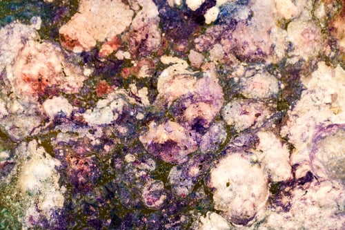 Vista previa: Abstract Composition With Mix Of Oil, Water And Colorful Ink. Pollution Concept