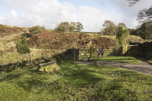 Preview: Derbyshire Dales Scene