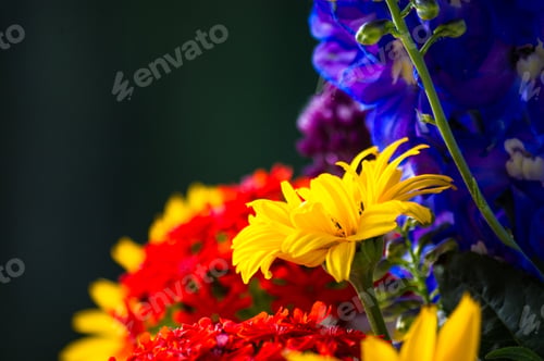 Preview: A Bouquet Of Bright Spring Flowers Of Various Types