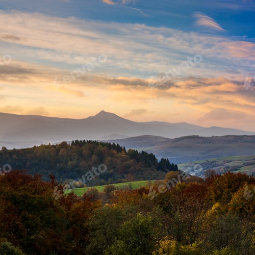 Preview: Autumn Landscape. Yellow Trees Near Green Meadow In Foggy Mountains