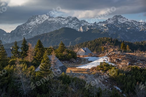 Vorschau: Frühlingskrokus in Velika Planina in Slowenien mit alten Schäferhütten rundum.