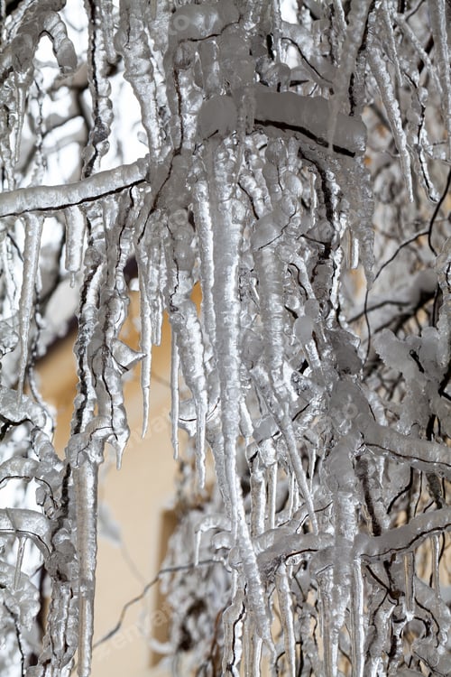 Preview: Ice And Icicles On A Weeping Willow Tree