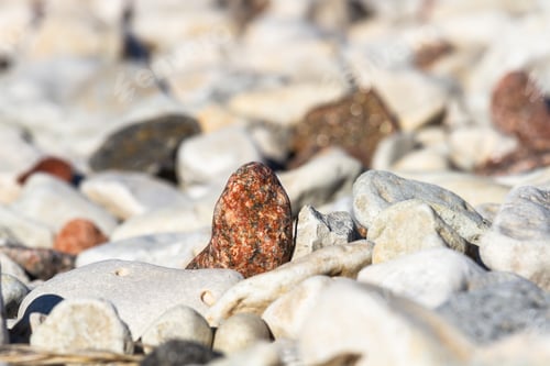 Preview: The Baltic Sea Rocky Coast