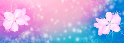Preview: Nature. Blossoming Branch Apple. Bright Colorful Spring Flowers
