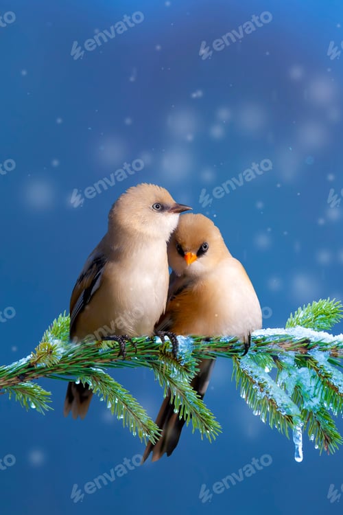 Preview: Winter And Nature. Blue Nature Background. New Year Concept Image.