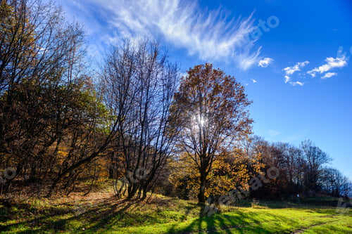Preview: Beautiful Forest Landscape With Amazing Clouds, Armenia