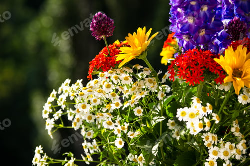 Preview: A Bouquet Of Bright Spring Flowers Of Various Types