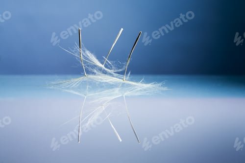 Preview: Dandelion Seeds With Details And Reflexion