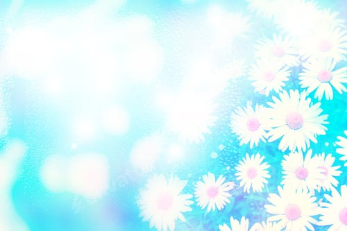 Preview: Soft Focus Daisy Background in Pastel Colors