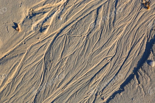 Preview: Abstract Wet Sand Texture - Natural Background