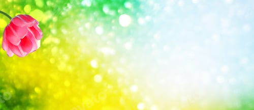 Preview: Bright And Colorful Flowers Tulips On The Background Of Spring Landscape.