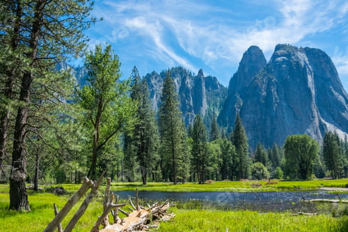 Preview: Flood Meadows Of The Yosemite Valley