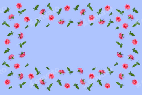 Preview: Bright Colorful Flower Rose. Natural Floral Background.