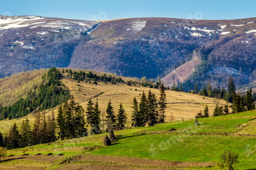 Preview: Carpathian Mountain Peaks In Snow Above Green Rural Meadow In Spring Season