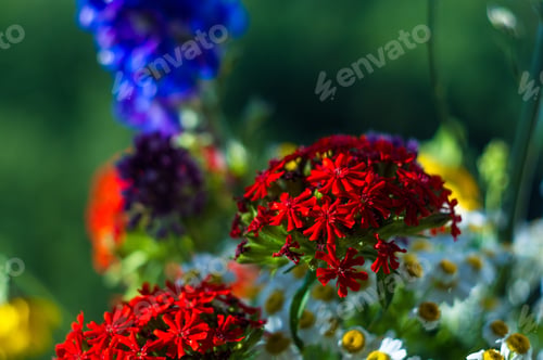 Preview: A Bouquet Of Bright Spring Flowers Of Various Types