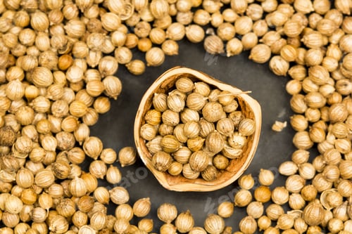 Preview: Coriander Seeds With Half Of Hazelnut Rind On Black Background