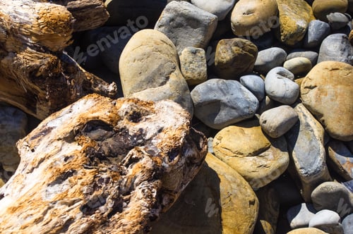 Preview: Driftwood, Washed Up By The Sea On A Pebble Beach