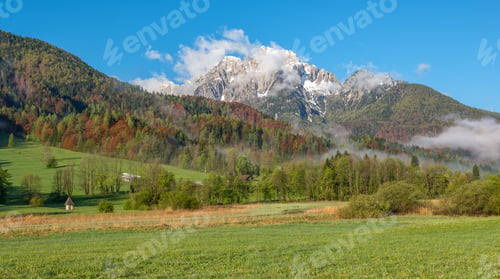 Preview: Natural Park Of Zelenci In Slovenia