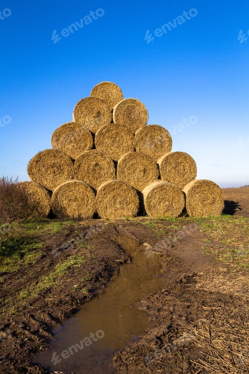 Preview: Hay Roll Stack On The Field