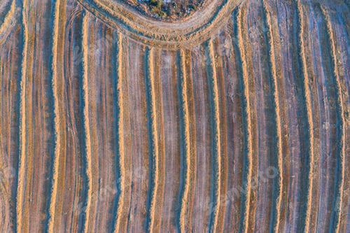 Vista previa: Aerial View Of The Agricultural Landscape In Villatomil Village Of Medina De Pomar Municipality In
