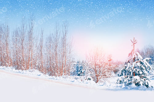 Preview: Frozen Winter Forest With Snow Covered Trees. Outdoor