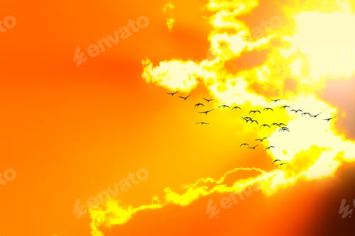 Preview: Sunset And Flying Birds. Sunset Sky Background.