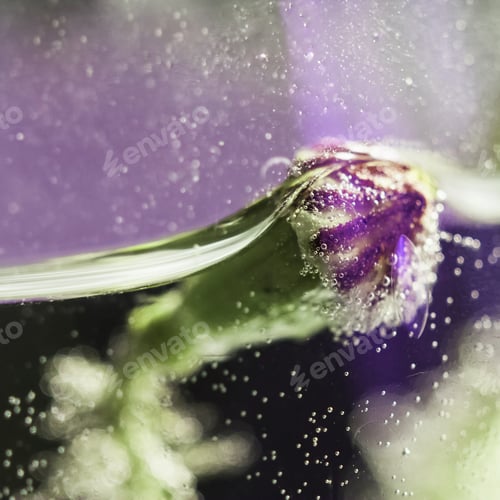 Preview: Abstract Composition With Poppy Seeds, Water And Bubbles