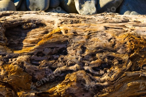 Preview: Driftwood, Washed Up By The Sea On A Pebble Beach