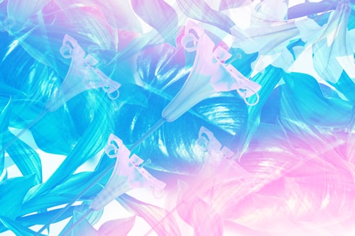 Preview: Green Leaf Of A Tropical Flower Monstera. Lily