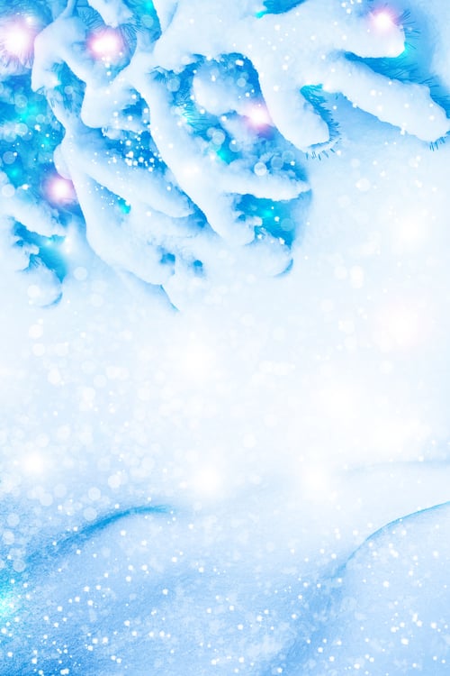 Preview: Frozen Winter Forest With Snow Covered Trees.